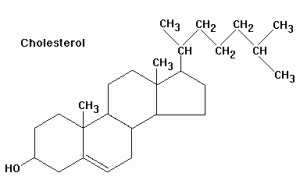 Cholesterol2